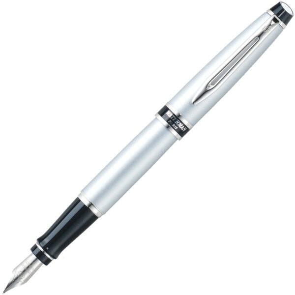 Перьевая ручка Waterman Expert 2, Matte Chrome (Перо F)S0701200
