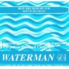 Стандартные картриджи Южное море для перьевой ручки Waterman, South See BlueS0110920